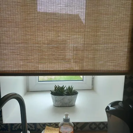 L'hirondelle En Auvergne