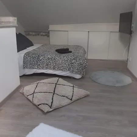 L'hirondelle En Auvergne