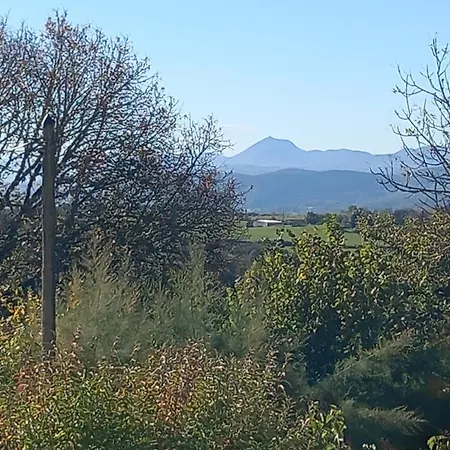 L'hirondelle En Auvergne * Champs (Auvergne)