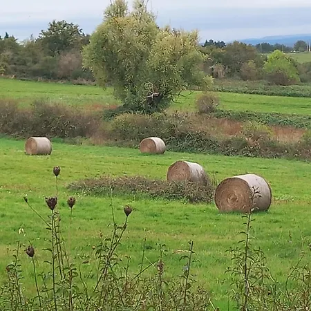 L'hirondelle En Auvergne * Champs (Auvergne)