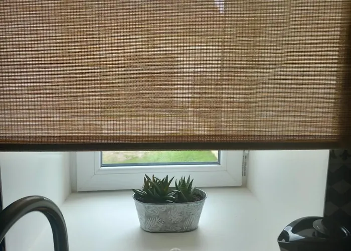 L'hirondelle En Auvergne